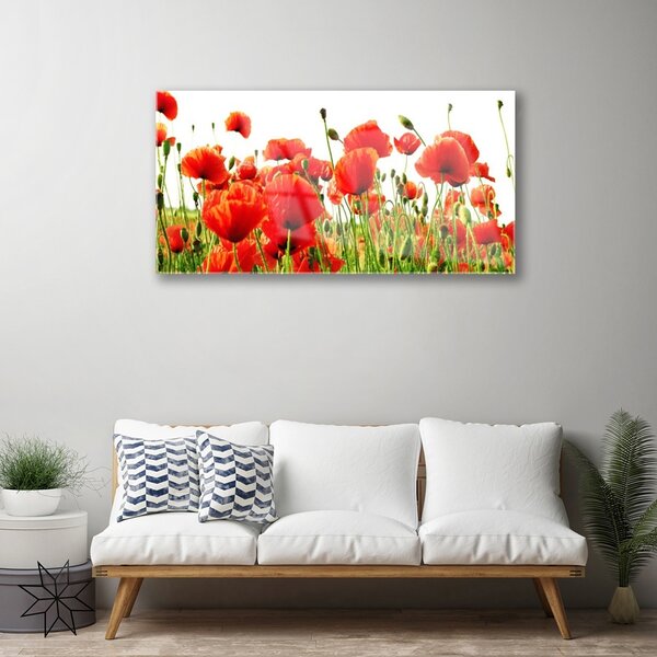 Quadro in vetro Papaveri Pianta Naturale 100x50 cm 2 appendini