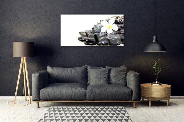 Quadro vetro Fiori Pietre Arte 100x50 cm 2 appendini