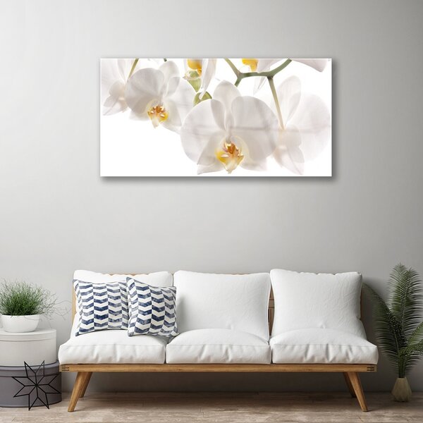 Quadro di vetro Fiori Pianta Natura 100x50 cm 2 appendini