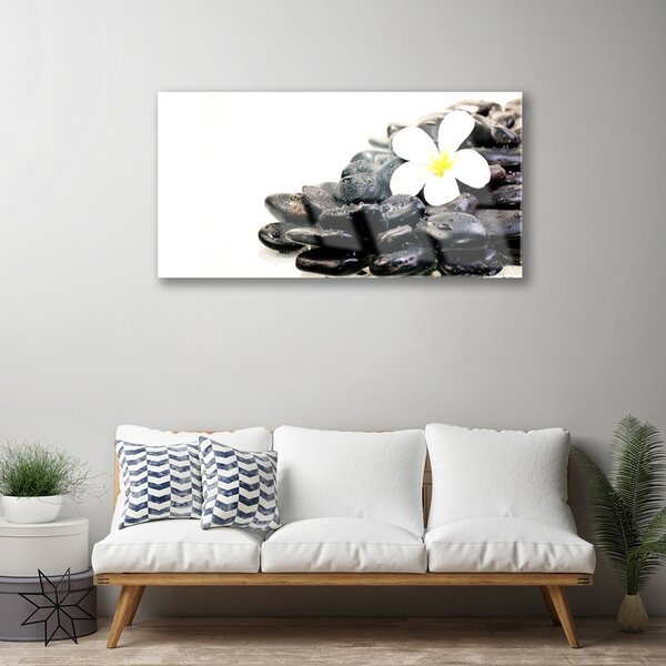 Quadro vetro Fiori Pietre Arte 100x50 cm 2 appendini