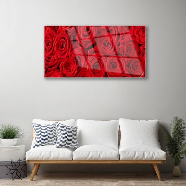 Quadro vetro Rose Fiori Pianta 100x50 cm 2 appendini