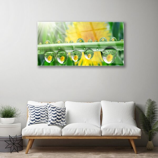 Quadro in vetro Gocce di stelo della pianta di Rosa 100x50 cm 2 appendini
