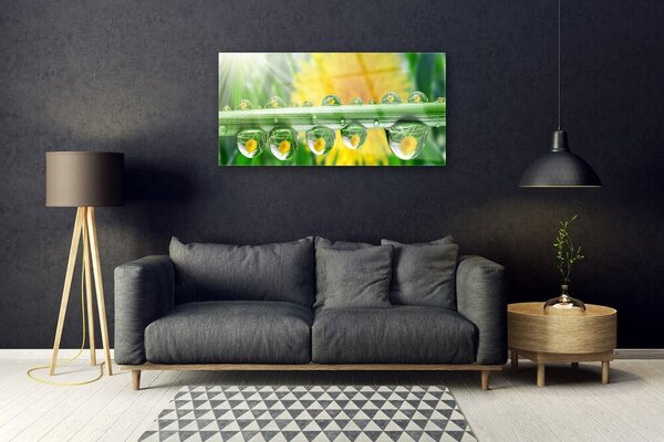 Quadro in vetro Gocce di stelo della pianta di Rosa 100x50 cm 2 appendini