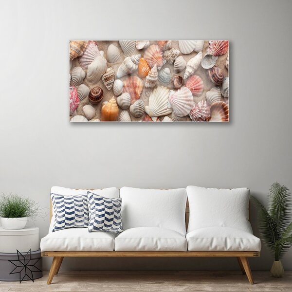 Quadro vetro Arte della sabbia con i molluschi 100x50 cm 2 appendini