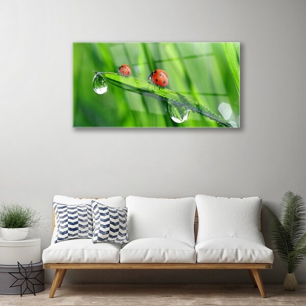 Quadro di vetro Gocce d'erba di coccinella 100x50 cm 2 appendini
