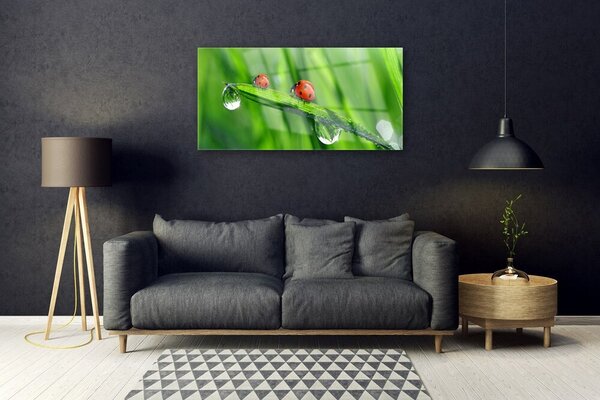 Quadro di vetro Gocce d'erba di coccinella 100x50 cm 2 appendini