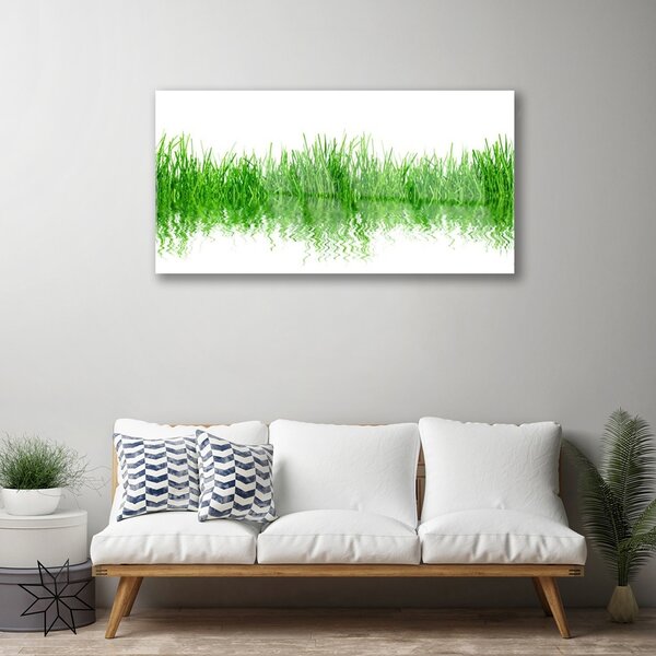 Quadro vetro Erba Pianta Natura 100x50 cm 2 appendini