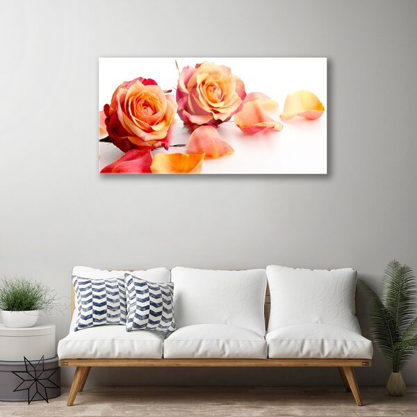 Quadro vetro Rose Fiori Pianta 100x50 cm 2 appendini