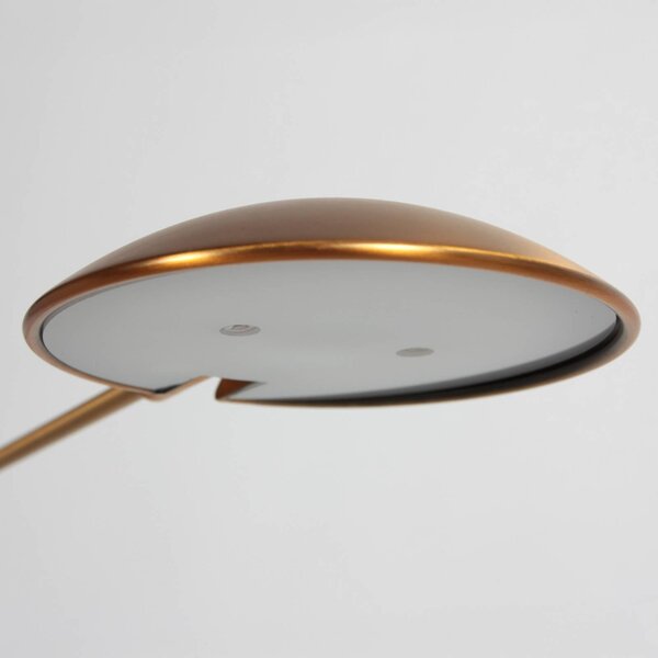 Steinhauer Lampada da terra Daphne, dimmerabile, Bronzo / Ottone antico, Soggiorno / Sala da pranzo, Metallo, Moderno, Lampada da terra