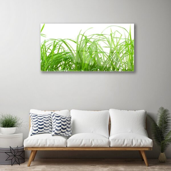 Quadro di vetro Erba Pianta Natura 100x50 cm 2 appendini