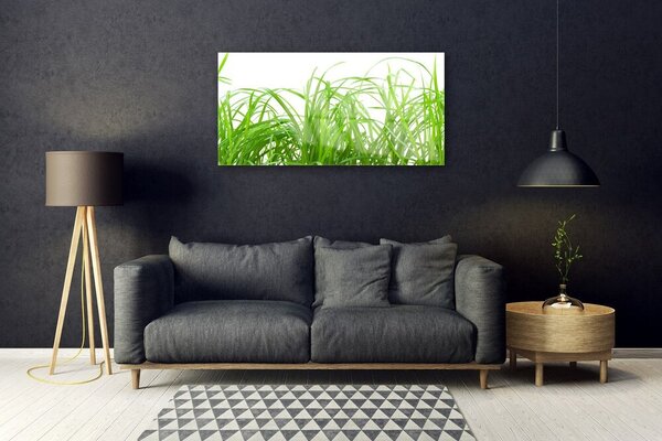 Quadro di vetro Erba Pianta Natura 100x50 cm 2 appendini