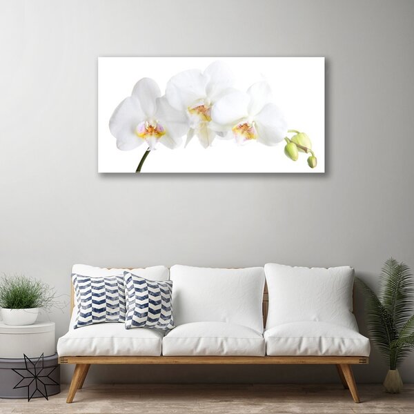 Quadro vetro Fiori Pianta naturale 100x50 cm 2 appendini
