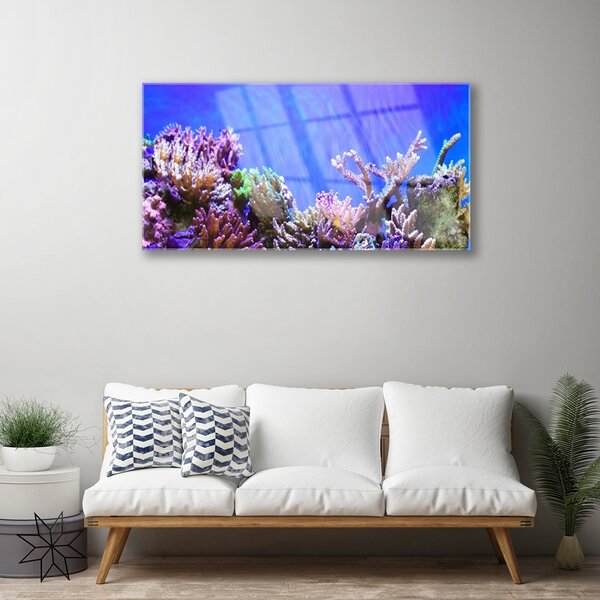 Quadro in vetro Natura della barriera corallina 100x50 cm 2 appendini
