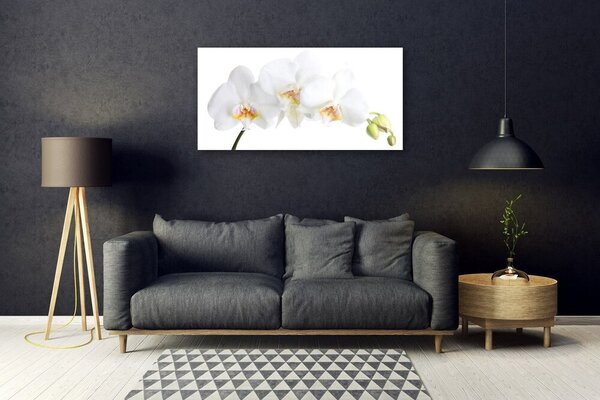 Quadro vetro Fiori Pianta naturale 100x50 cm 2 appendini