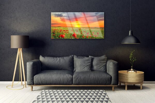 Quadro in vetro Papaveri Sole Pianta Natura 100x50 cm 2 appendini