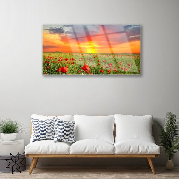 Quadro in vetro Papaveri Sole Pianta Natura 100x50 cm 2 appendini