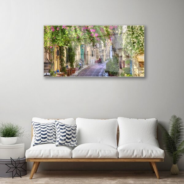 Quadro di vetro Vicolo Fiori Case Pianta 100x50 cm 2 appendini