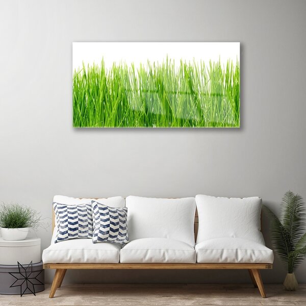 Quadro in vetro Erba Pianta Natura 100x50 cm 2 appendini