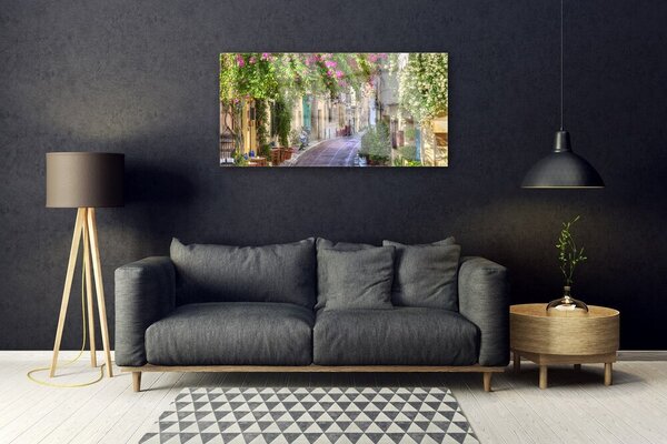 Quadro di vetro Vicolo Fiori Case Pianta 100x50 cm 2 appendini