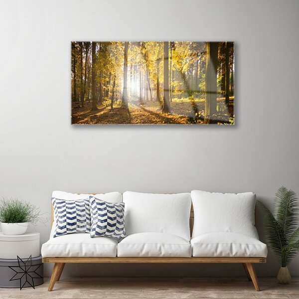 Quadro in vetro Foresta Foglie Pianta Natura 100x50 cm 2 appendini