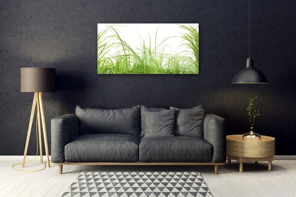 Quadro su vetro Erba Pianta Natura 100x50 cm 2 appendini
