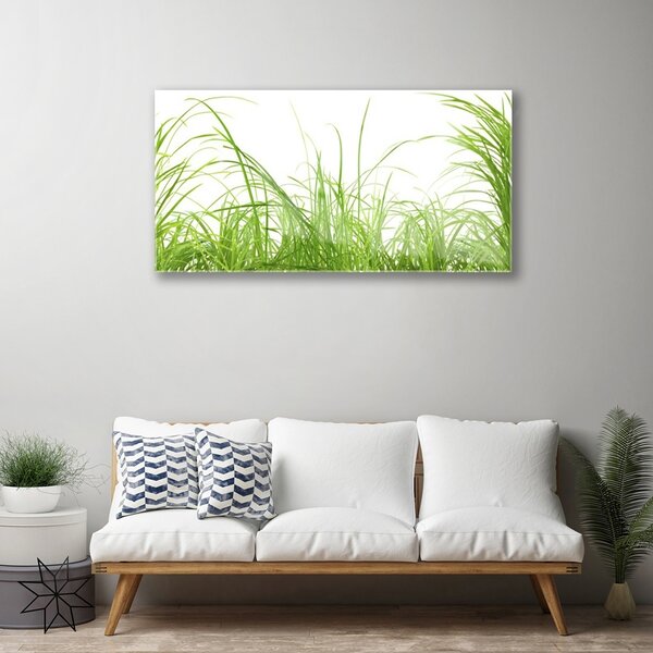 Quadro su vetro Erba Pianta Natura 100x50 cm 2 appendini