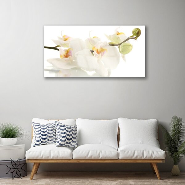 Quadro in vetro Fiori Pianta naturale 100x50 cm 2 appendini