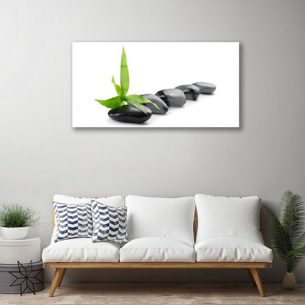 Quadro su vetro Pietre Foglie Arte 100x50 cm 2 appendini