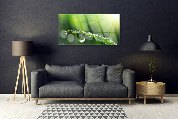 Quadro in vetro Erba Rosa Gocce Natura 100x50 cm 2 appendini