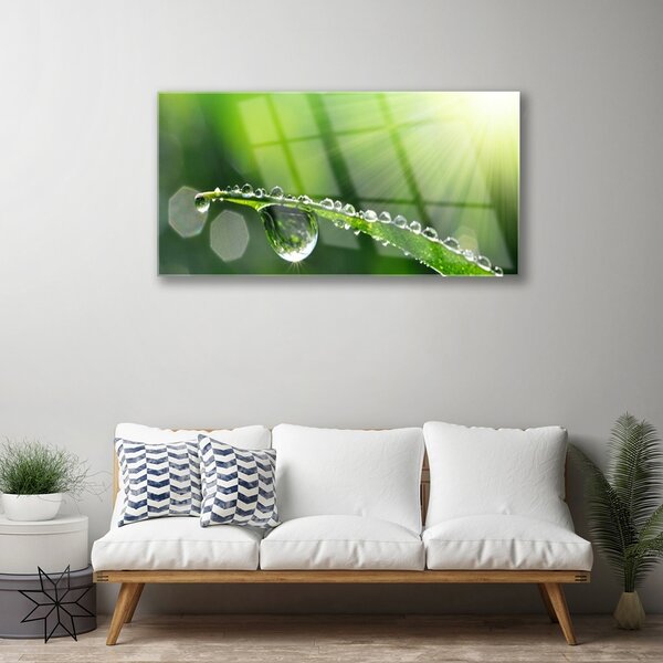 Quadro in vetro Erba Rosa Gocce Natura 100x50 cm 2 appendini
