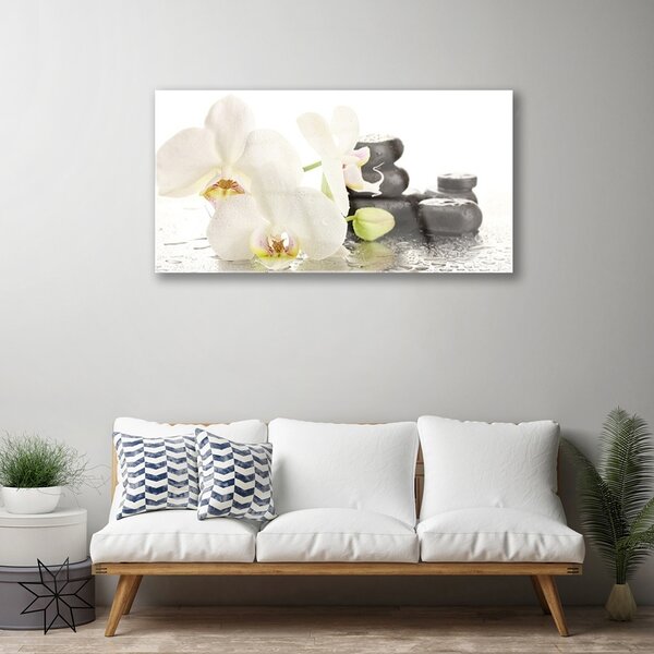 Quadro di vetro Pietre da fiore Pianta 100x50 cm 2 appendini
