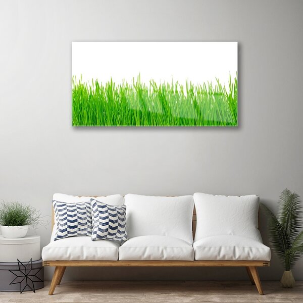 Quadro vetro Erba Pianta Natura 100x50 cm 2 appendini