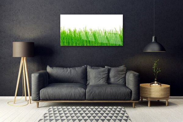 Quadro vetro Erba Pianta Natura 100x50 cm 2 appendini