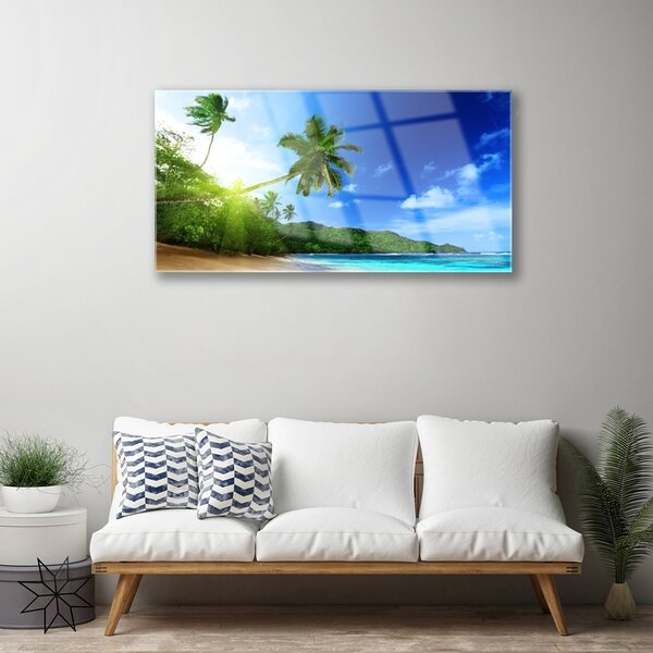 Quadro su vetro Spiaggia Mare Palma Paesaggio 100x50 cm 2 appendini