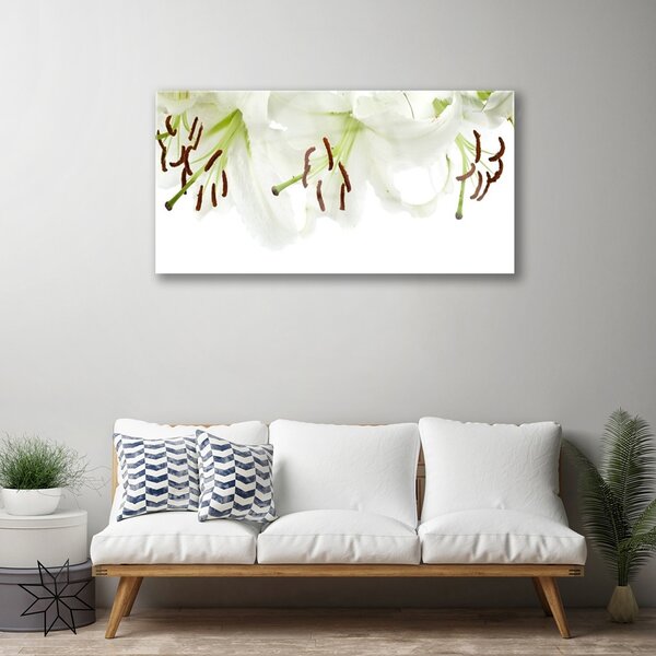 Quadro su vetro Fiori Pianta naturale 100x50 cm 2 appendini