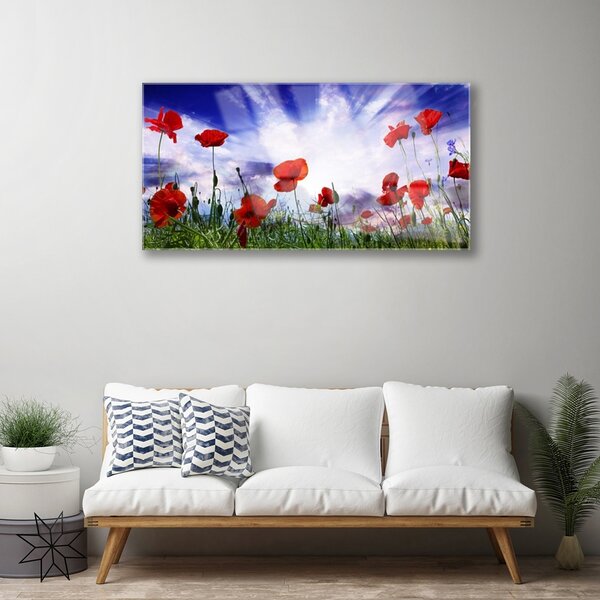 Quadro in vetro Papaveri Pianta Naturale 100x50 cm 2 appendini