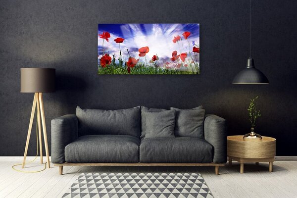Quadro in vetro Papaveri Pianta Naturale 100x50 cm 2 appendini