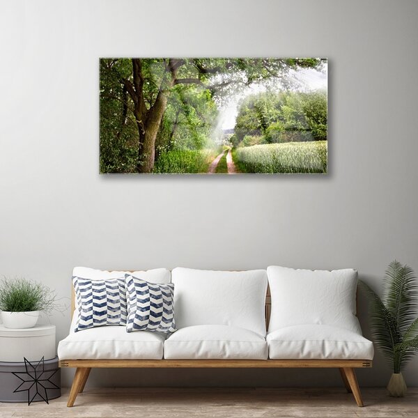 Quadro su vetro Sentiero Natura Alberi 100x50 cm 2 appendini