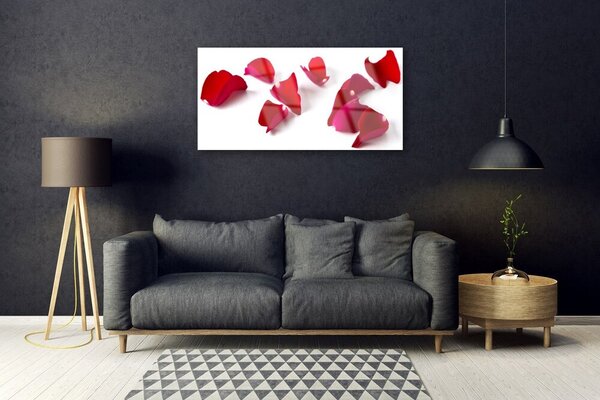 Quadro in vetro Petali Pianta Natura 100x50 cm 2 appendini