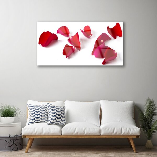 Quadro in vetro Petali Pianta Natura 100x50 cm 2 appendini