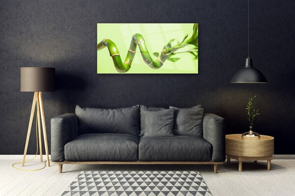 Quadro di vetro Pianta di bambù Natura 100x50 cm 2 appendini