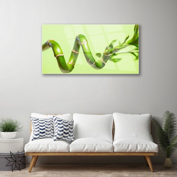 Quadro di vetro Pianta di bambù Natura 100x50 cm 2 appendini