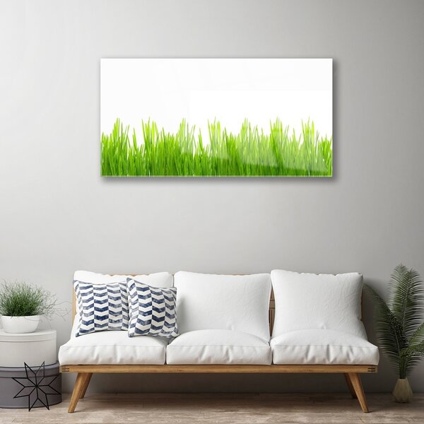 Quadro di vetro Erba Pianta Natura 100x50 cm 2 appendini