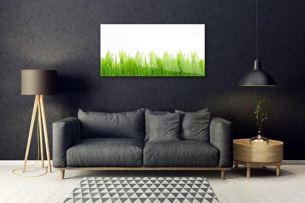 Quadro di vetro Erba Pianta Natura 100x50 cm 2 appendini