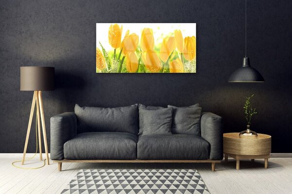Quadro vetro Tulipani Fiori Pianta 100x50 cm 2 appendini