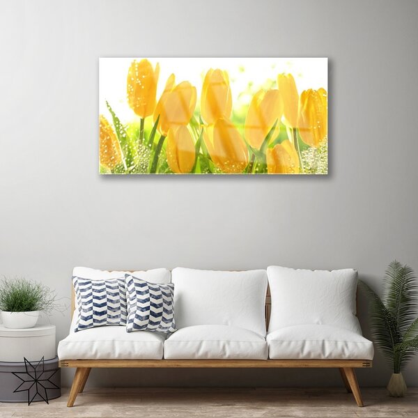 Quadro vetro Tulipani Fiori Pianta 100x50 cm 2 appendini