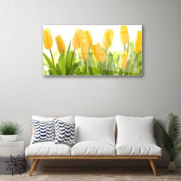 Quadro di vetro Tulipani Fiori Pianta 100x50 cm 2 appendini