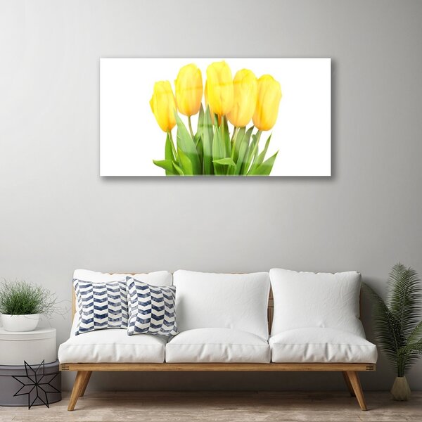 Quadro in vetro Tulipani Fiori Pianta 100x50 cm 2 appendini