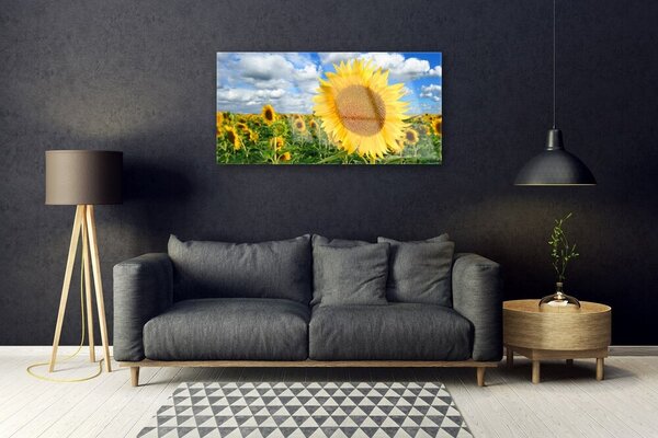 Quadro in vetro Pianta di girasole 100x50 cm 2 appendini