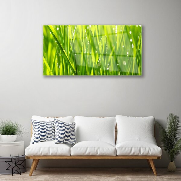 Quadro vetro Erba Pianta Natura 100x50 cm 2 appendini